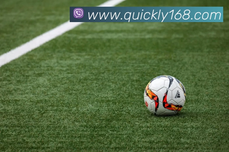 辅助工具 辅助工具